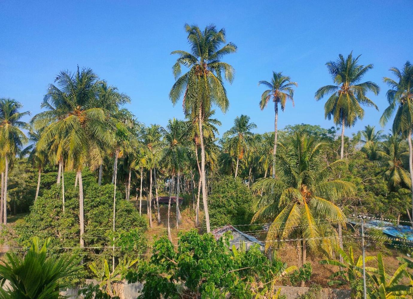 Anibesh Hotel Vijay Nagar Beach Exterior photo